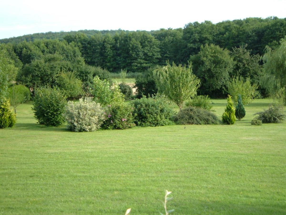 Le Lansquenet Villa Rorbach-les-Dieuze Bagian luar foto